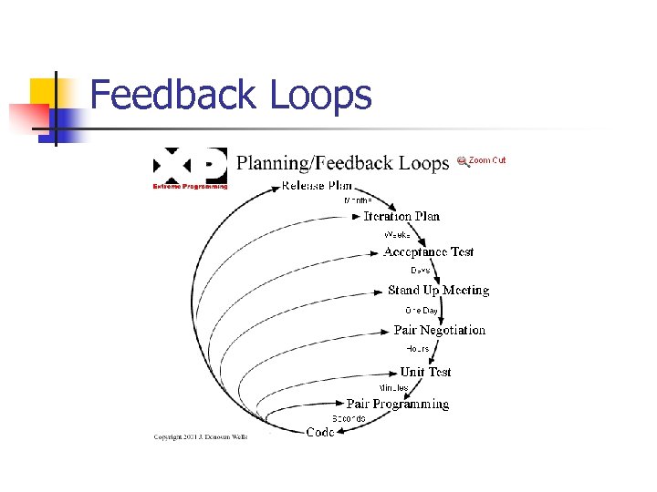 Feedback Loops 