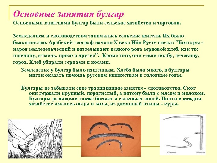 Основные занятия булгар Основными занятиями булгар были сельское хозяйство и торговля. Земледелием и скотоводством