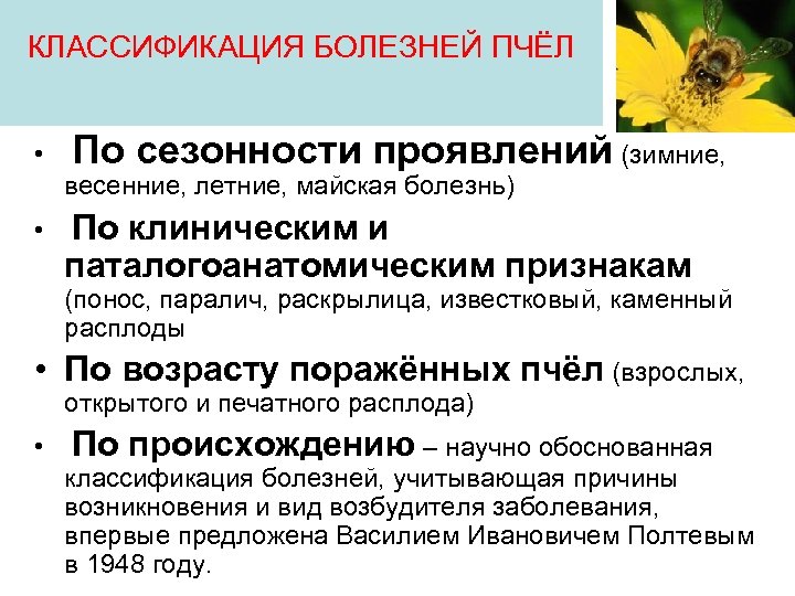 КЛАССИФИКАЦИЯ БОЛЕЗНЕЙ ПЧЁЛ • По сезонности проявлений (зимние, весенние, летние, майская болезнь) • По