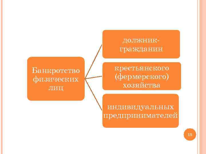 должникгражданин Банкротство физических лиц крестьянского (фермерского) хозяйства индивидуальных предпринимателей 15 