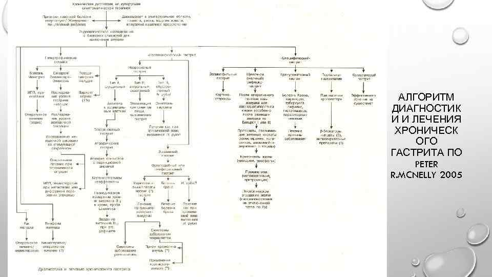 АЛГОРИТМ ДИАГНОСТИК И И ЛЕЧЕНИЯ ХРОНИЧЕСК ОГО ГАСТРИТА ПО PETER R. MCNELLY 2005 