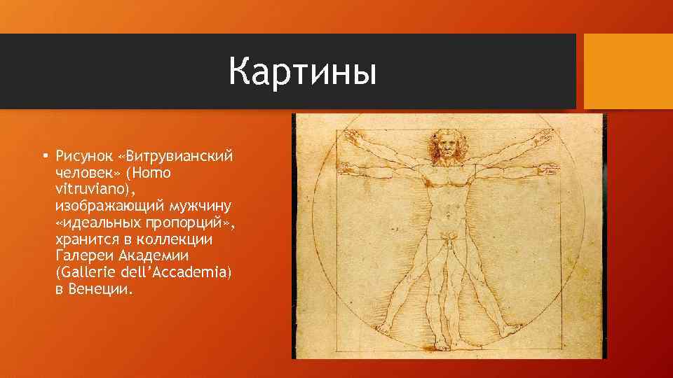 Картины • Рисунок «Витрувианский человек» (Homo vitruviano), изображающий мужчину «идеальных пропорций» , хранится в