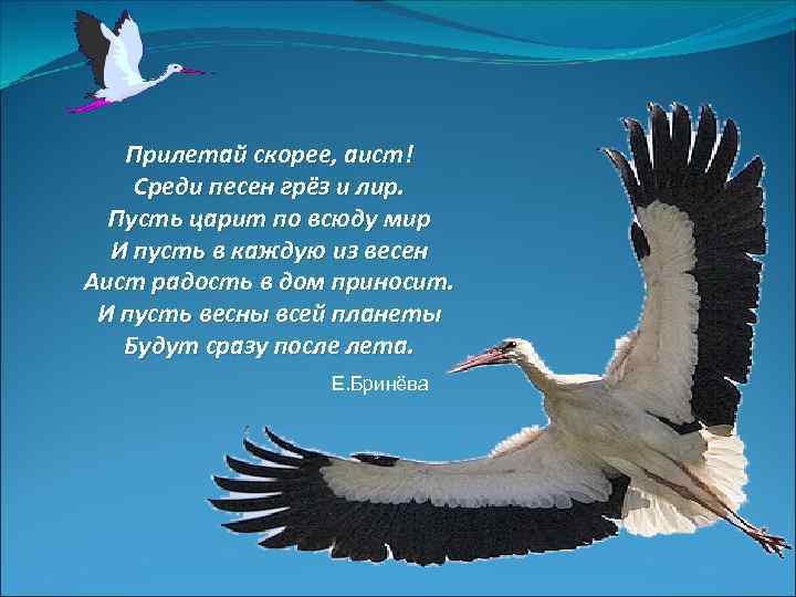 Аист у многих народов считается птицей приносящей счастье план текста из трех пунктов