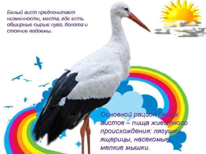 Белый аист предпочитает низменности, места, где есть обширные сырые луга, болота и стоячие водоемы.
