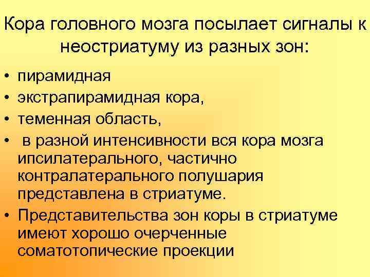 Кора головного мозга посылает сигналы к неостриатуму из разных зон: • • пирамидная экстрапирамидная
