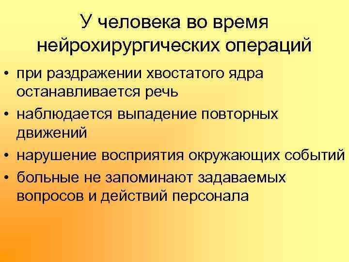 У человека во время нейрохирургических операций • при раздражении хвостатого ядра останавливается речь •