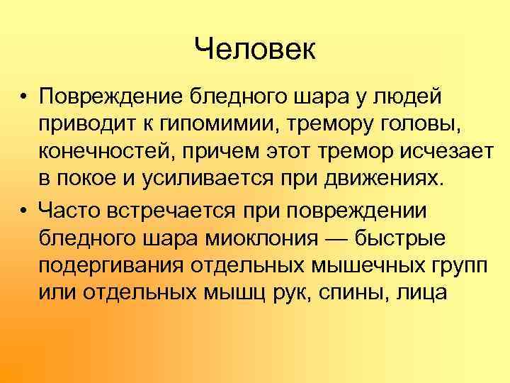 Человек • Повреждение бледного шара у людей приводит к гипомимии, тремору головы, конечностей, причем