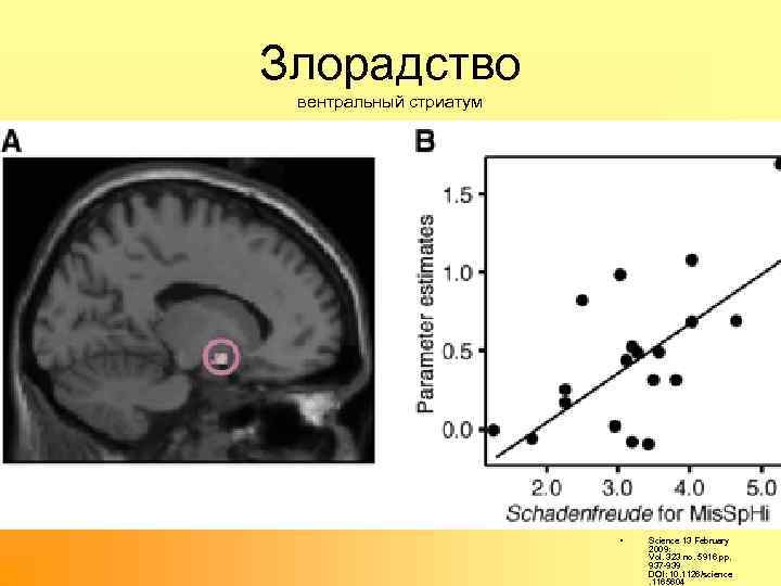 Злорадство вентральный стриатум • Science 13 February 2009: Vol. 323 no. 5916 pp. 937