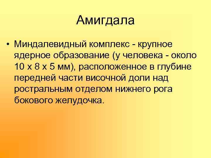 Амигдала • Миндалевидный комплекс крупное ядерное образование (у человека около 10 х 8 х