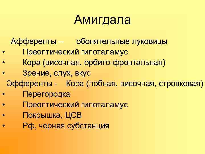 Амигдала Афференты – обонятельные луковицы • Преоптический гипоталамус • Кора (височная, орбито фронтальная) •