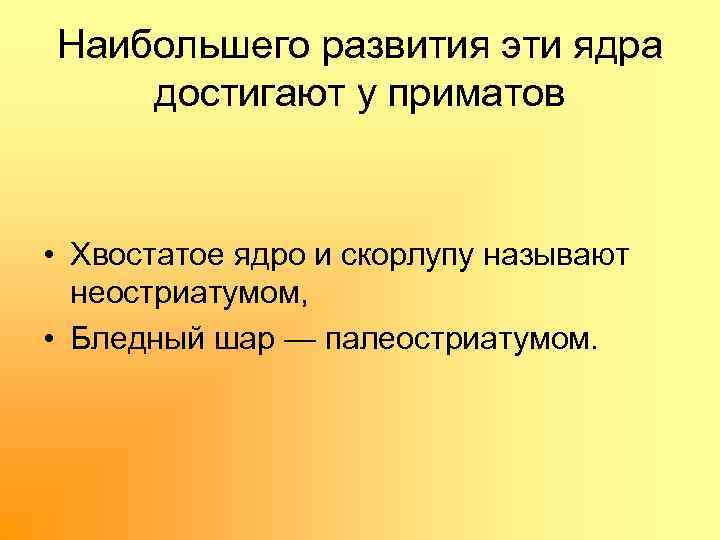 Наибольшего развития эти ядра достигают у приматов • Хвостатое ядро и скорлупу называют неостриатумом,