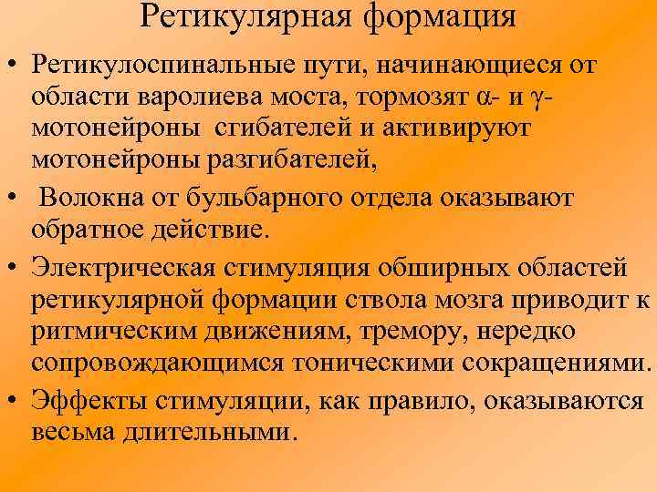 Ретикулярная формация • Ретикулоспинальные пути, начинающиеся от области варолиева моста, тормозят α и γ