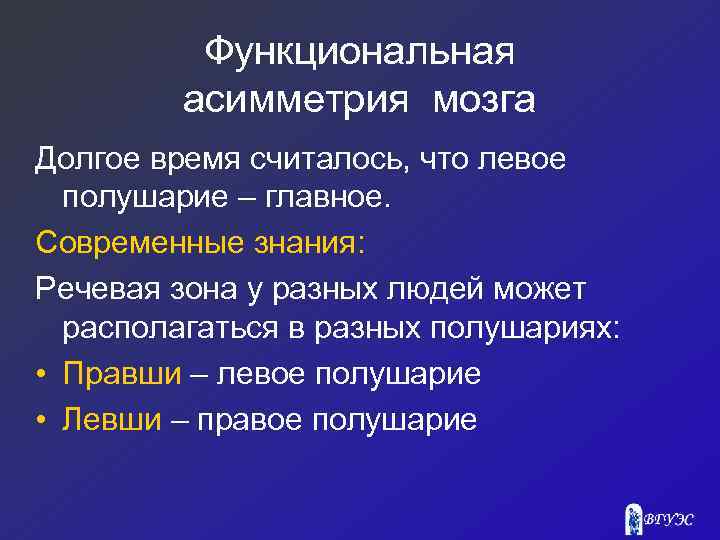 Функциональная асимметрия мозга Долгое время считалось, что левое полушарие – главное. Современные знания: Речевая