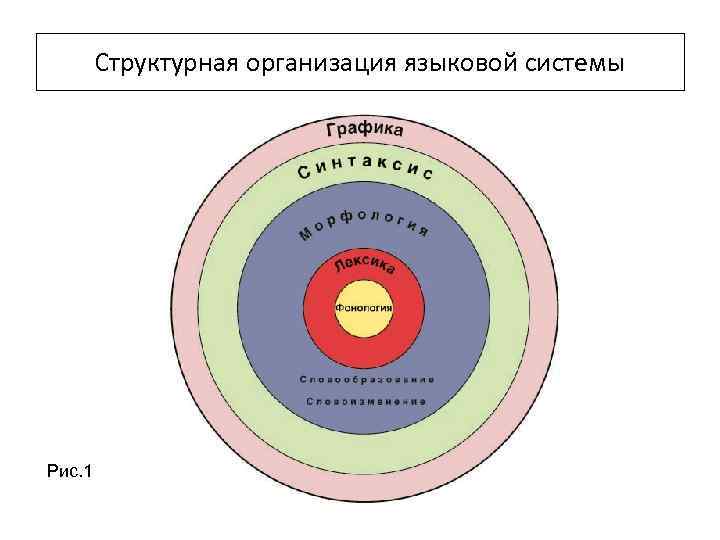 Языковая структура. Структурная организация языка. Системно-структурная организация языка. Система организации языка. Уровневая организация языка.