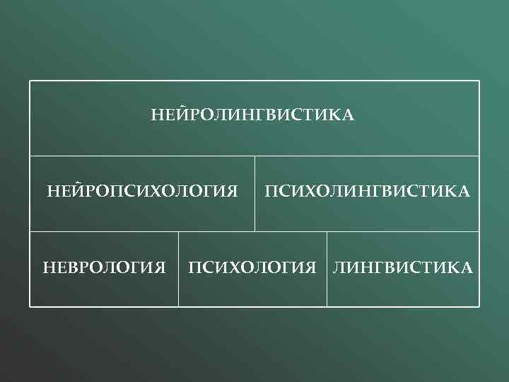 НЕЙРОЛИНГВИСТИКА НЕЙРОПСИХОЛОГИЯ НЕВРОЛОГИЯ ПСИХОЛИНГВИСТИКА ПСИХОЛОГИЯ ЛИНГВИСТИКА 