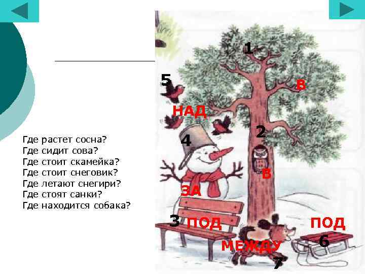 1 5 В НАД Где Где растет сосна? сидит сова? стоит скамейка? стоит снеговик?