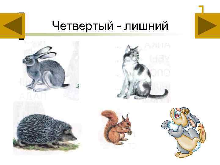 Четвертый - лишний 
