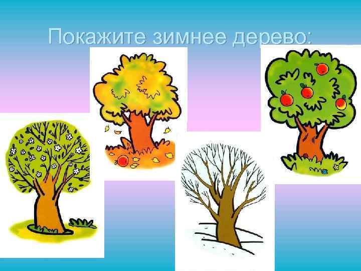 Покажите зимнее дерево: 