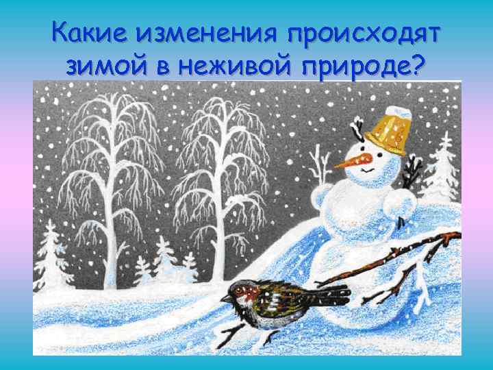 Какие изменения происходят зимой в неживой природе? 