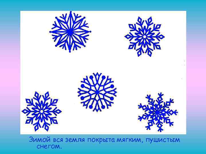 Зимой вся земля покрыта мягким, пушистым снегом. 