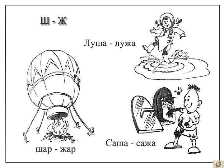 Слова паронимы картинки для детей