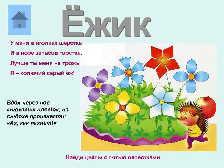 У меня в иголках шёрстка И в норе запасов горстка. Лучше ты меня не