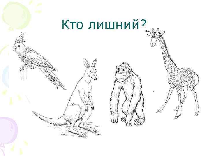 Кто лишний? 