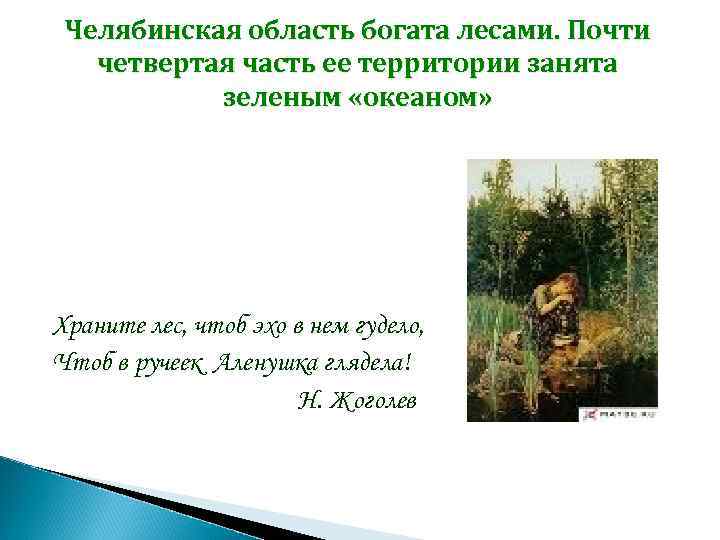 Челябинская область богата лесами. Почти четвертая часть ее территории занята зеленым «океаном» Храните лес,