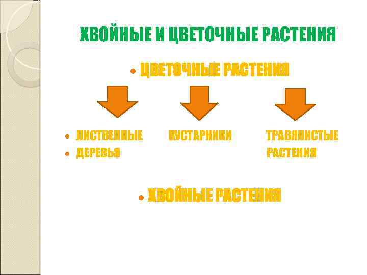ХВОЙНЫЕ И ЦВЕТОЧНЫЕ РАСТЕНИЯ ЛИСТВЕННЫЕ ДЕРЕВЬЯ КУСТАРНИКИ ТРАВЯНИСТЫЕ РАСТЕНИЯ ХВОЙНЫЕ РАСТЕНИЯ 