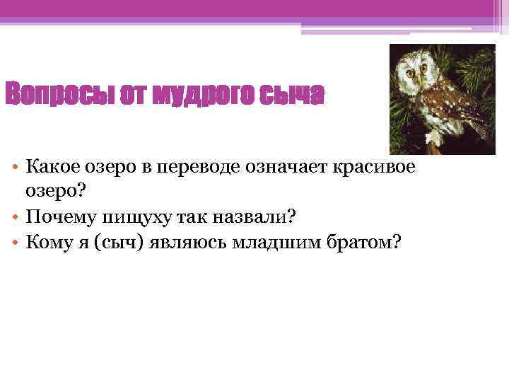 Вопросы от мудрого сыча • Какое озеро в переводе означает красивое озеро? • Почему