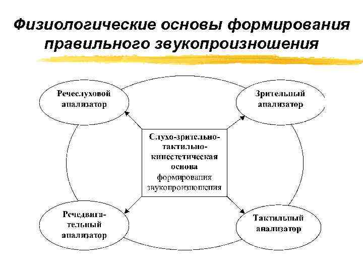 Физиологические основы формирования правильного звукопроизношения 