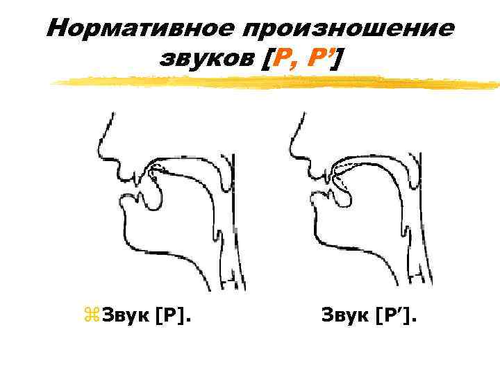 Нормативное произношение звуков [Р, Р’] z Звук [Р]. Звук [Р’]. 