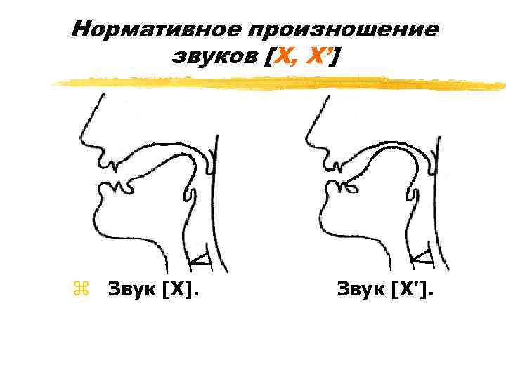 Нормативное произношение звуков [Х, Х’] z Звук [Х]. Звук [Х’]. 