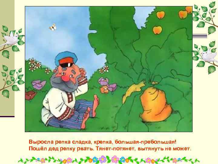 Выросла репка сладка, крепка, большая-пребольшая! Пошёл дед репку рвать. Тянет-потянет, вытянуть не может. 