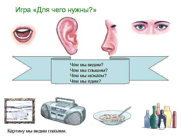 Игра «Для чего нужны? » Чем мы видим? Чем мы слышим? Чем мы нюхаем?