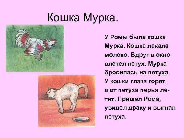 Кошка Мурка. У Ромы была кошка Мурка. Кошка лакала молоко. Вдруг в окно влетел