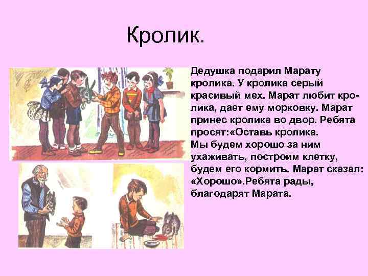 Кролик. Дедушка подарил Марату кролика. У кролика серый красивый мех. Марат любит кролика, дает