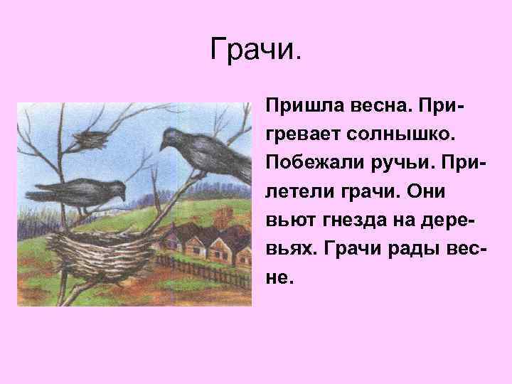 Грачи. Пришла весна. Пригревает солнышко. Побежали ручьи. Прилетели грачи. Они вьют гнезда на деревьях.