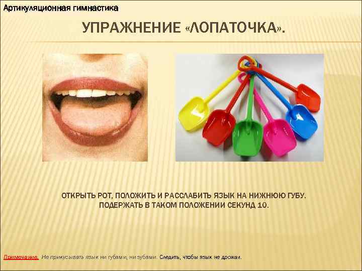 Артикуляционная гимнастика УПРАЖНЕНИЕ «ЛОПАТОЧКА» . ОТКРЫТЬ РОТ, ПОЛОЖИТЬ И РАССЛАБИТЬ ЯЗЫК НА НИЖНЮЮ ГУБУ.