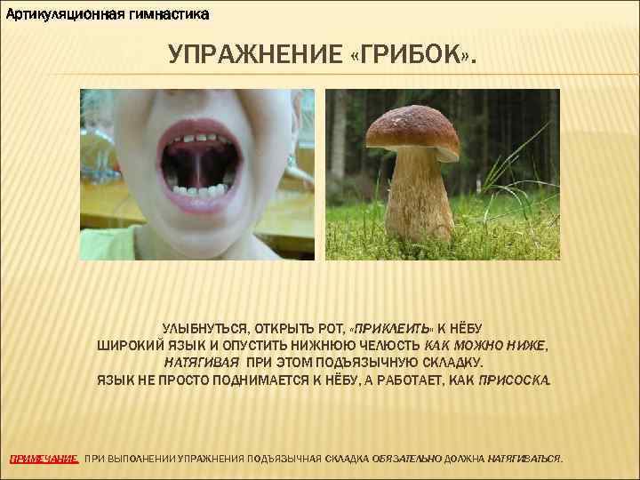 Артикуляционная гимнастика УПРАЖНЕНИЕ «ГРИБОК» . УЛЫБНУТЬСЯ, ОТКРЫТЬ РОТ, «ПРИКЛЕИТЬ» К НЁБУ ШИРОКИЙ ЯЗЫК И