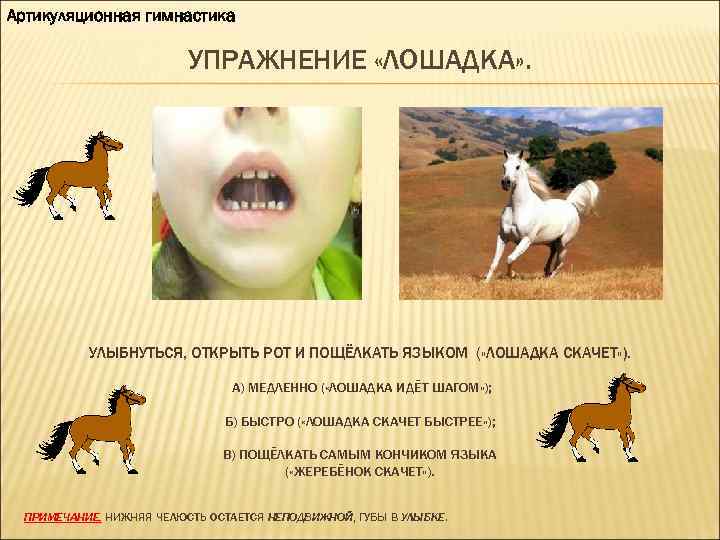 Артикуляционная гимнастика УПРАЖНЕНИЕ «ЛОШАДКА» . УЛЫБНУТЬСЯ, ОТКРЫТЬ РОТ И ПОЩЁЛКАТЬ ЯЗЫКОМ ( «ЛОШАДКА СКАЧЕТ»