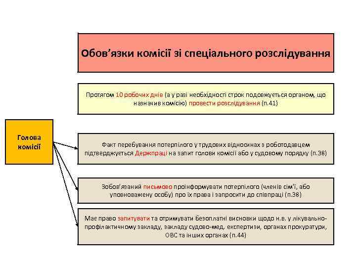 Обов’язки комісії зі спеціального розслідування Протягом 10 робочих днів (а у разі необхідності строк