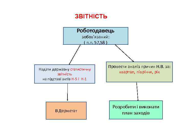 ЗВІТНІСТЬ Роботодавець зобов’язаний: ( п. п. 57, 58 ) Надати державну статистичну звітність на