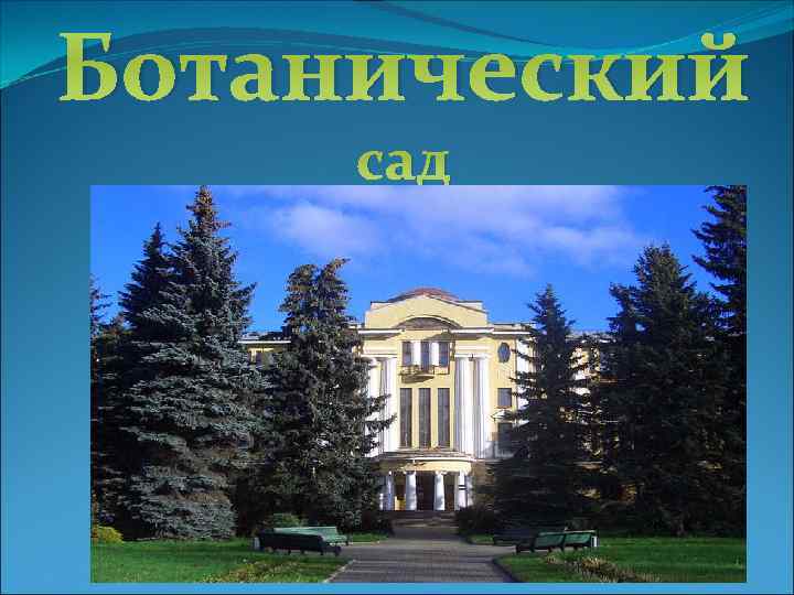 Ботанический сад 