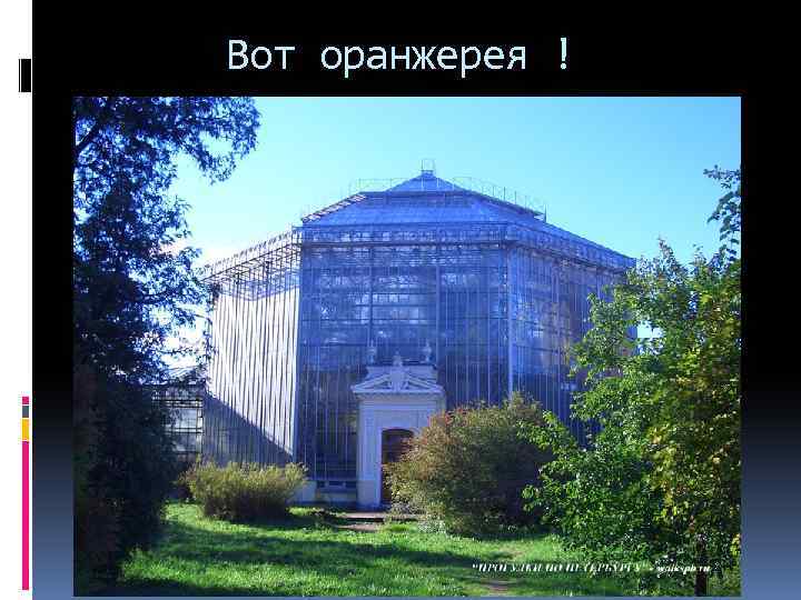 Вот оранжерея ! 
