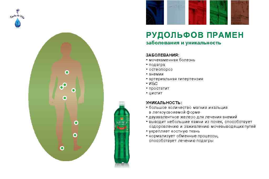 РУДОЛЬФОВ ПРАМЕН заболевания и уникальность ЗАБОЛЕВАНИЯ: • мочекаменная болезнь • подагра • остеопороз •