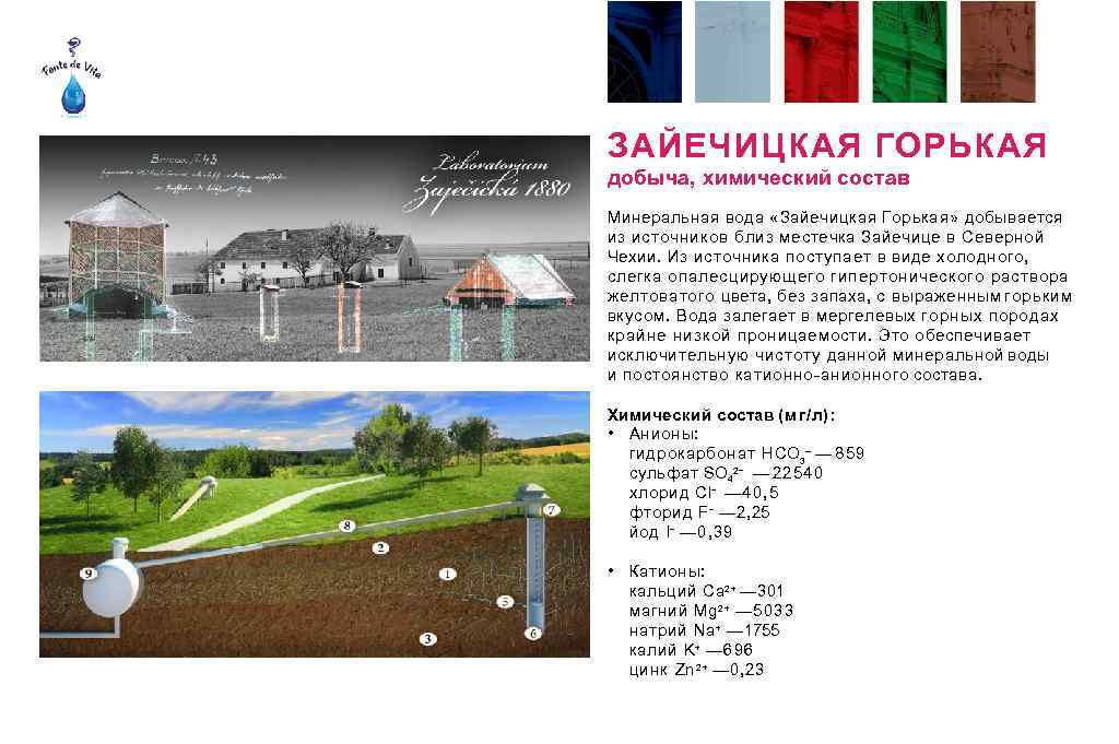 ЗАЙЕЧИЦКАЯ ГОРЬКАЯ добыча, химический состав Минеральная вода «Зайечицкая Горькая» добывается из источников близ местечка