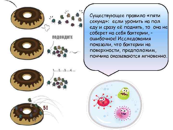 Существующее правило «пяти секунд» : если уронить на пол еду и сразу её поднять,