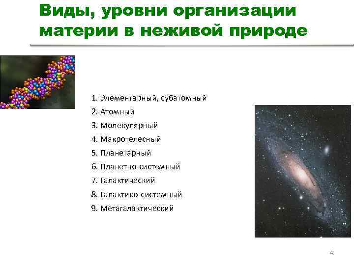 Презентация особенности биологического уровня организации материи