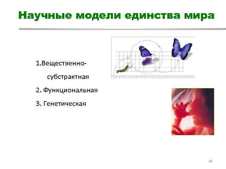 Научные модели единства мира 1. Вещественносубстрактная 2. Функциональная 3. Генетическая 43 